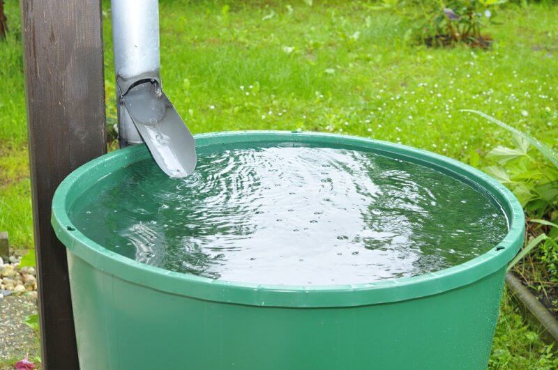 Rain water harvesting :
